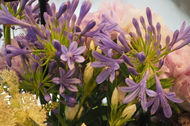 f:id:nora0924:20200710204854j:image