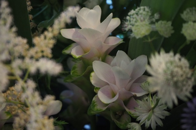 f:id:nora0924:20200710205108j:image