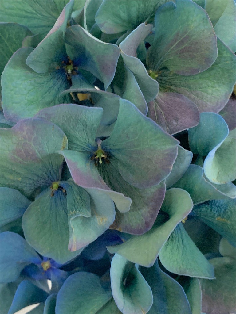 f:id:nora0924:20200720222230j:image