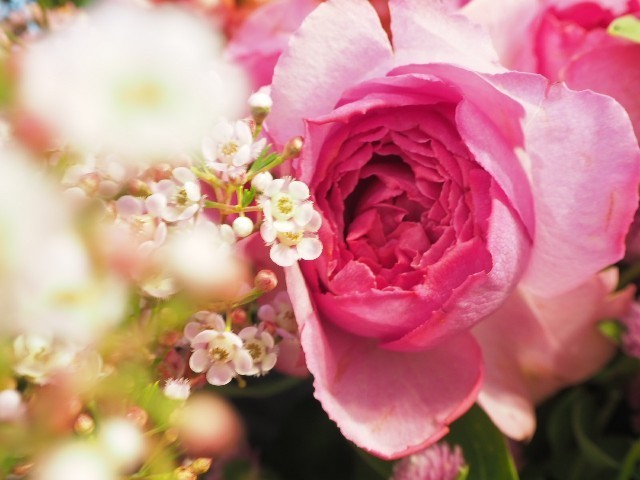 f:id:nora0924:20211015232838j:image