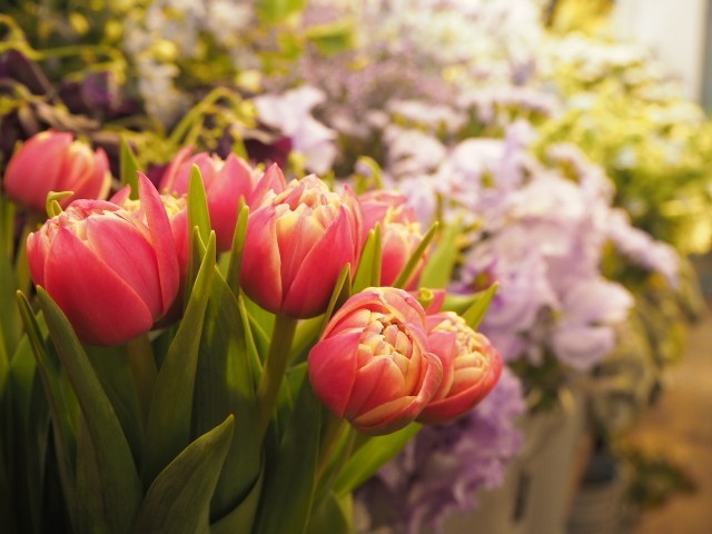 f:id:nora0924:20211126211332j:image