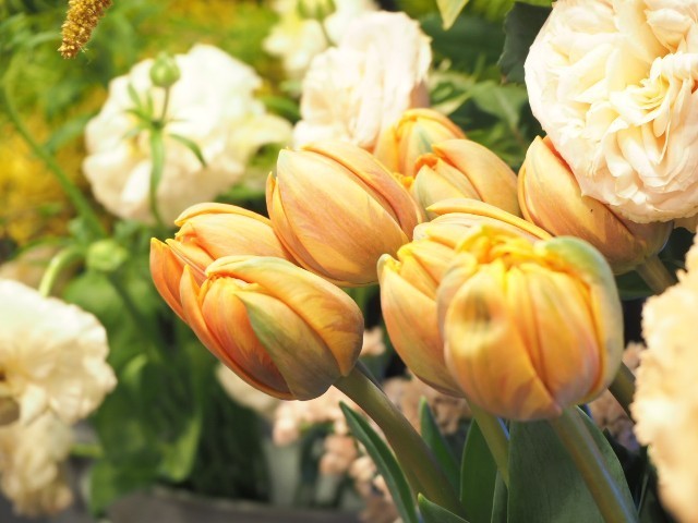 f:id:nora0924:20211126211342j:image