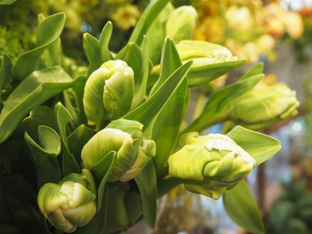 f:id:nora0924:20211126211351j:image