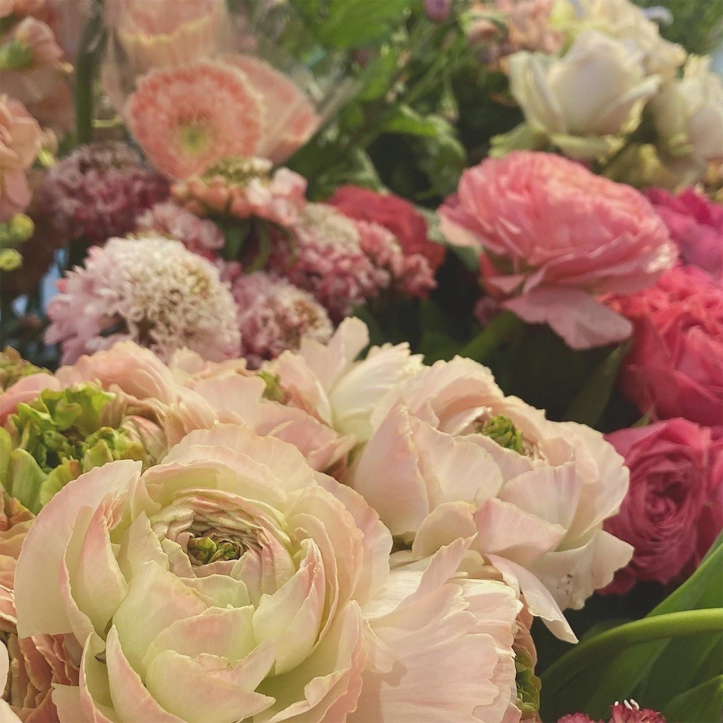 f:id:nora0924:20220305213904j:image f:id:nora0924:20220305213904j:image