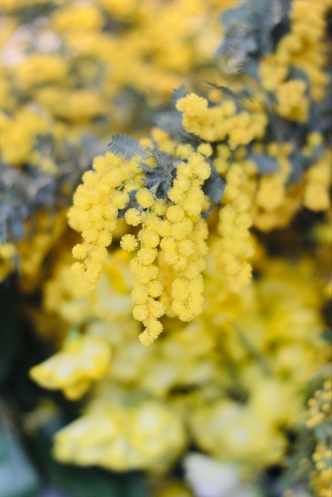 f:id:nora0924:20220309211959j:image