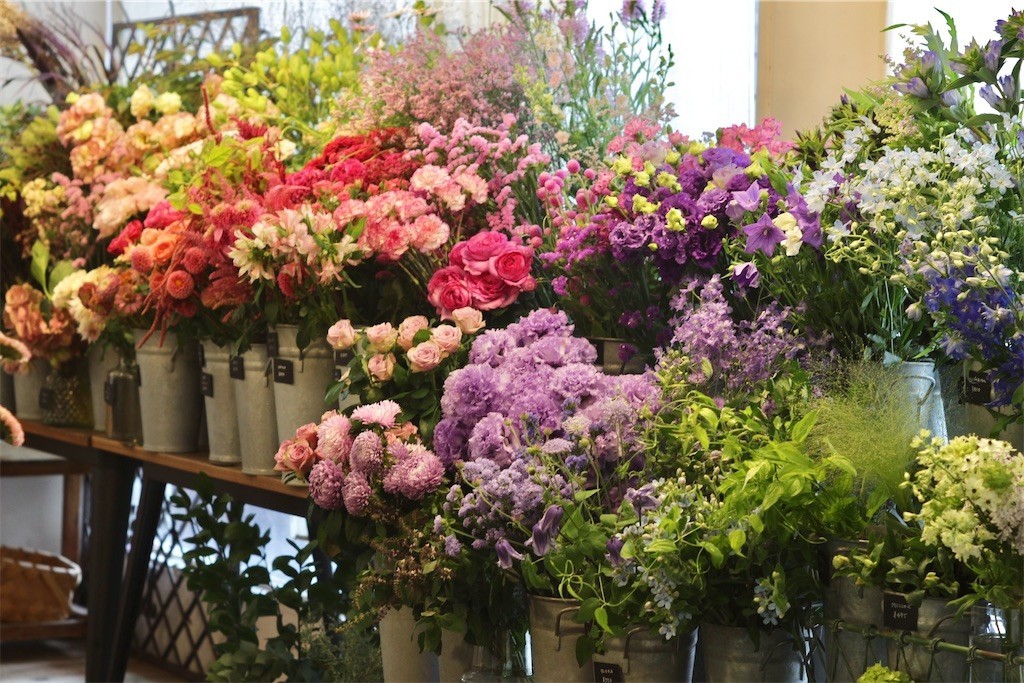 f:id:nora0924:20220911114022j:image