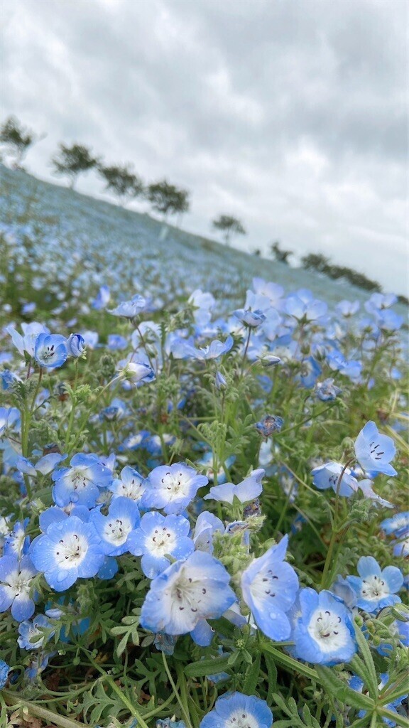 f:id:nora0924:20230509205827j:image f:id:nora0924:20230509205827j:image