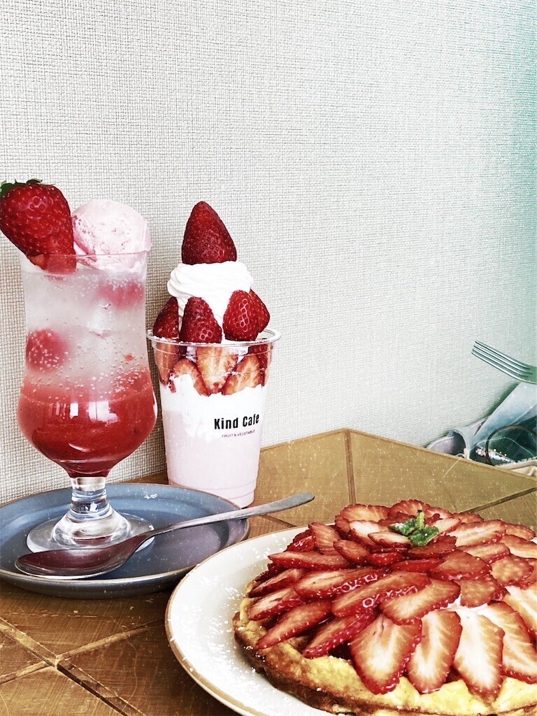f:id:nora0924:20230509205847j:image f:id:nora0924:20230509205847j:image