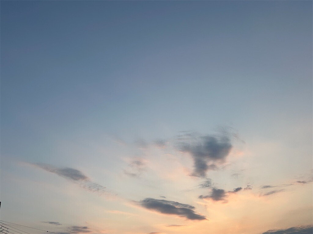 f:id:nora0924:20240607193612j:image