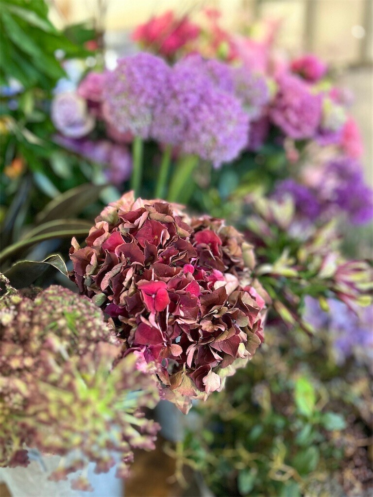 f:id:nora0924:20240613221323j:image f:id:nora0924:20240613221323j:image