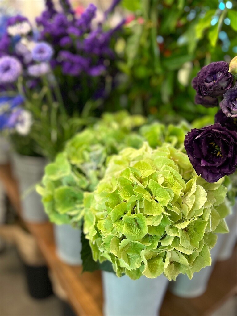 f:id:nora0924:20240613221337j:image f:id:nora0924:20240613221337j:image