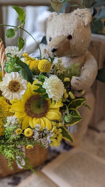 f:id:nora0924:20240624223503j:image