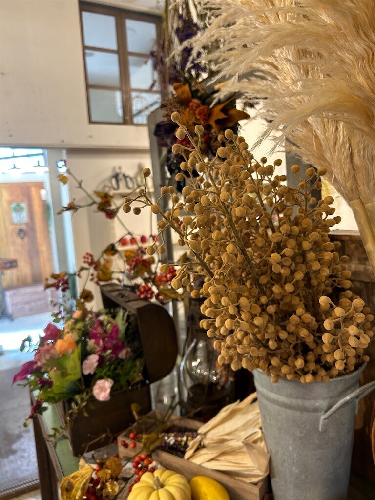 f:id:nora0924:20241107220635j:image