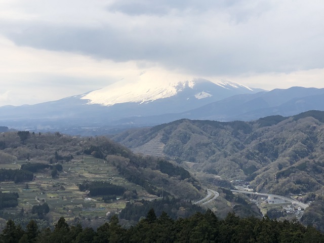 f:id:nora819:20190414192532j:plain