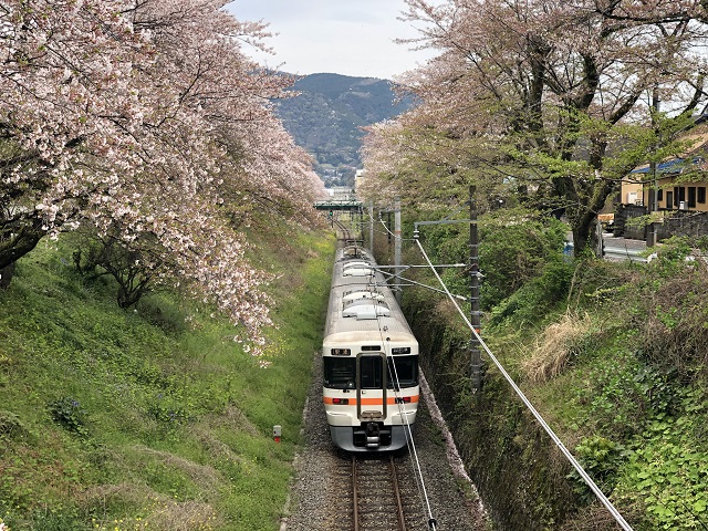 f:id:nora819:20190414192600j:plain