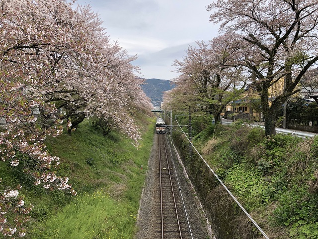 f:id:nora819:20190414192610j:plain