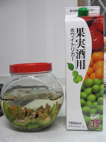 イメージ 7