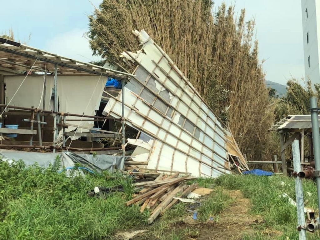f:id:norabora:20190916141501j:image f:id:norabora:20190916141501j:image