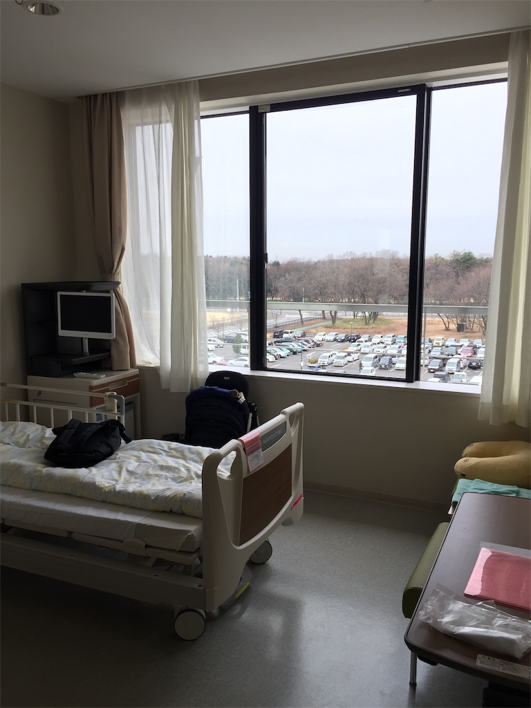 f:id:noracla:20200127121232j:image