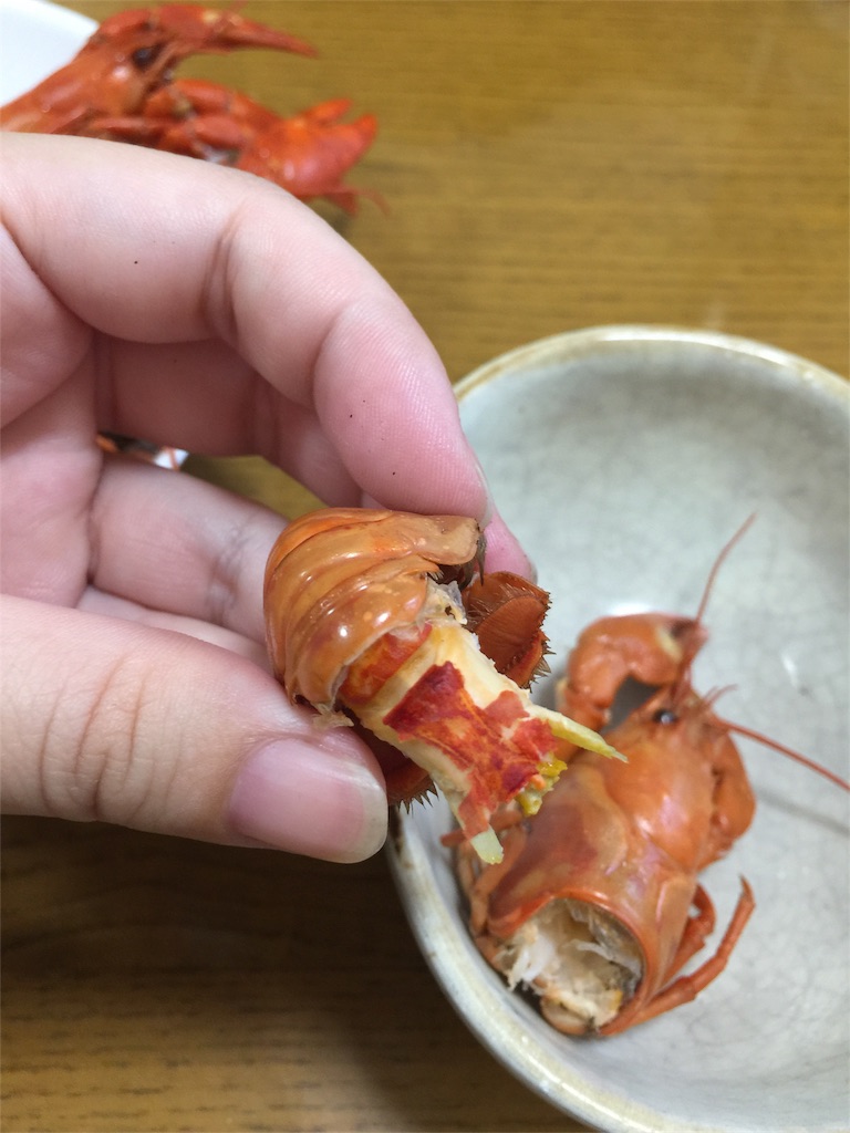 ザリガニ ノラクロ 今日の酒のアテのブログ