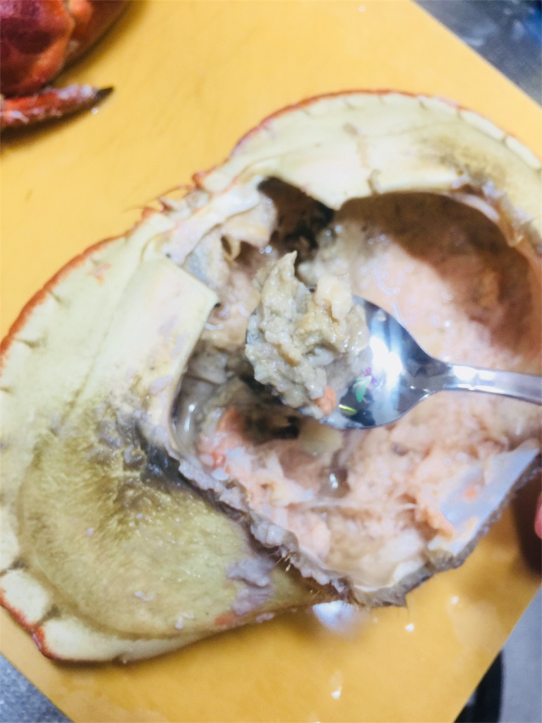 f:id:norakurorororo:20190217223528j:image