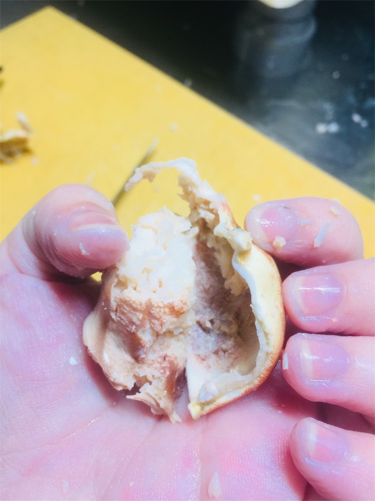 f:id:norakurorororo:20190217223829j:image