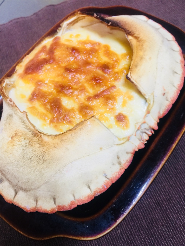 f:id:norakurorororo:20190217224901j:image