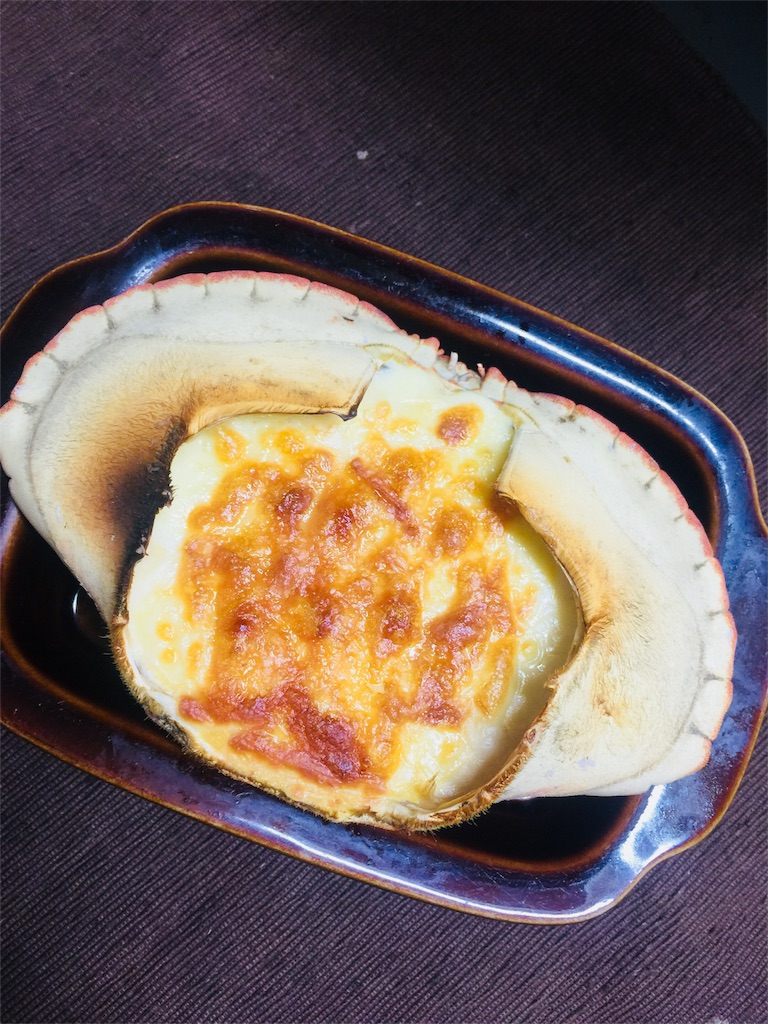 f:id:norakurorororo:20190217224905j:image