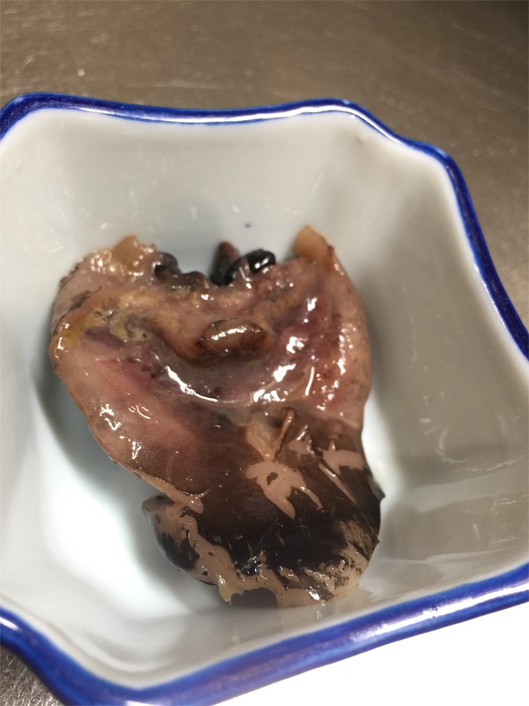 f:id:norakurorororo:20190621113536j:image