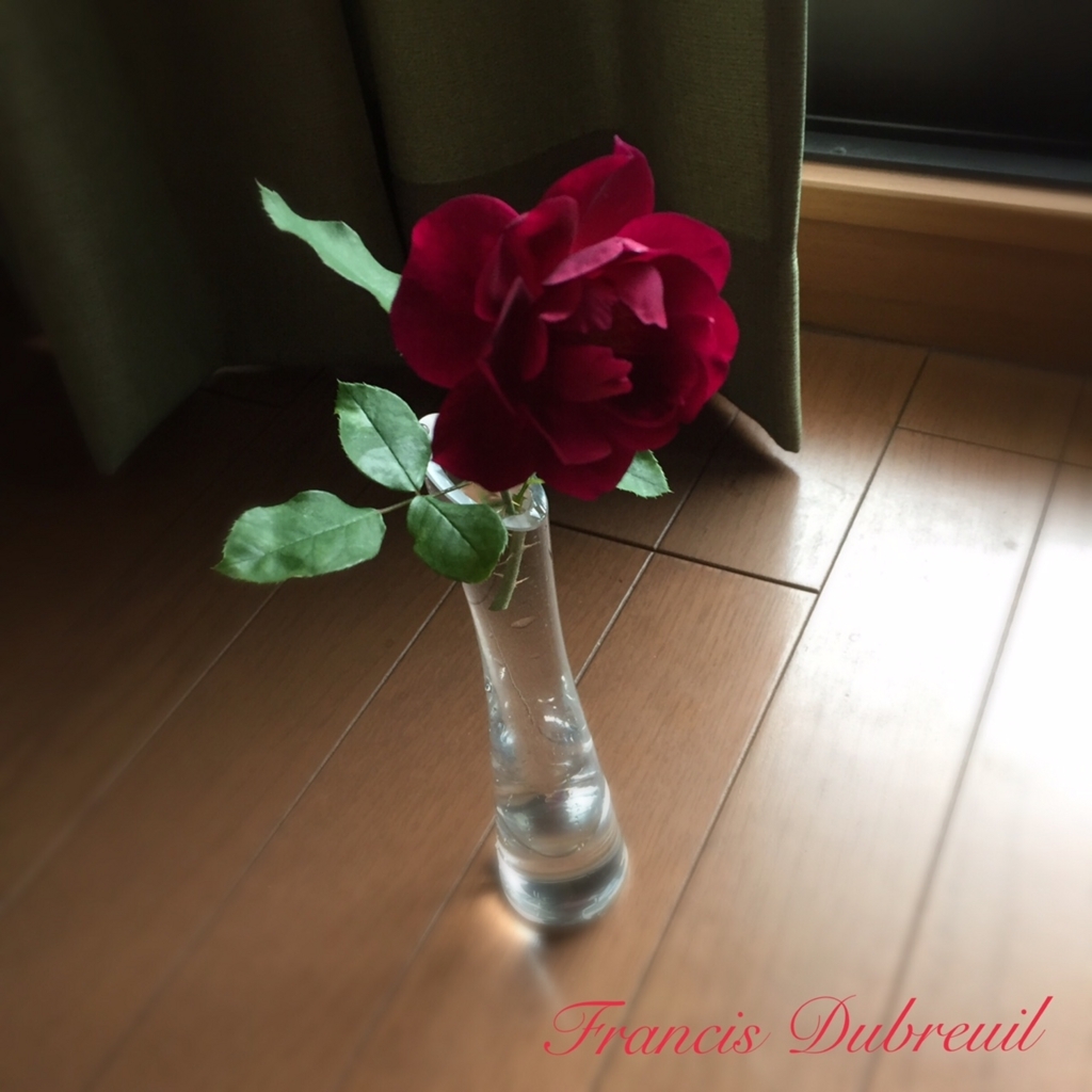 f:id:noram22:20171021182401j:plain f:id:noram22:20171021182401j:plain