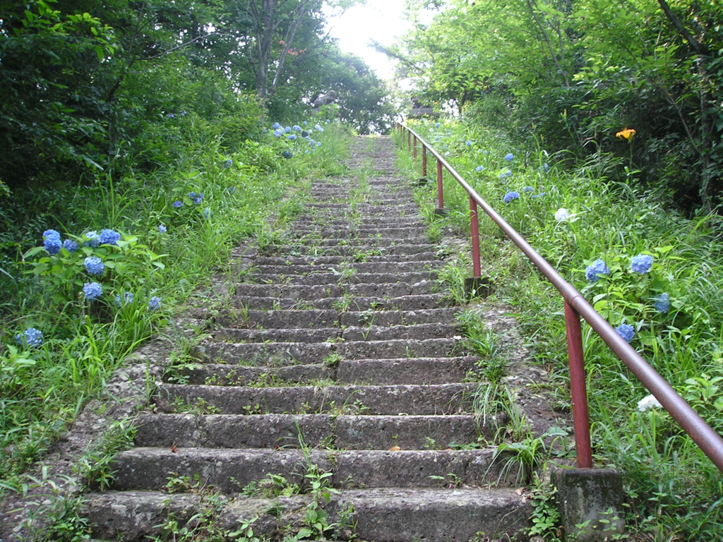 f:id:noramatsu:20161225213512j:plain