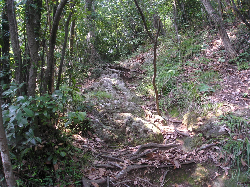 f:id:noramatsu:20161225213722j:plain