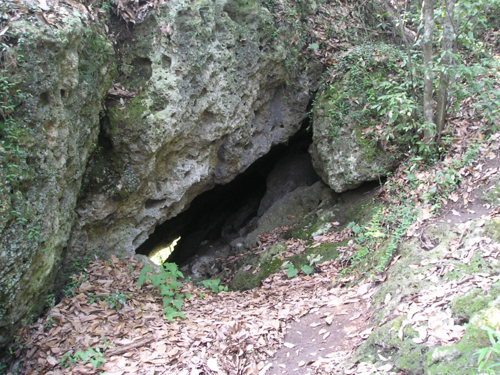 f:id:noramatsu:20161225213810j:plain