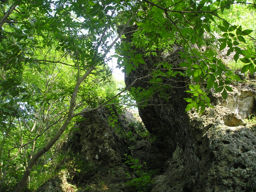 f:id:noramatsu:20161225213909j:plain