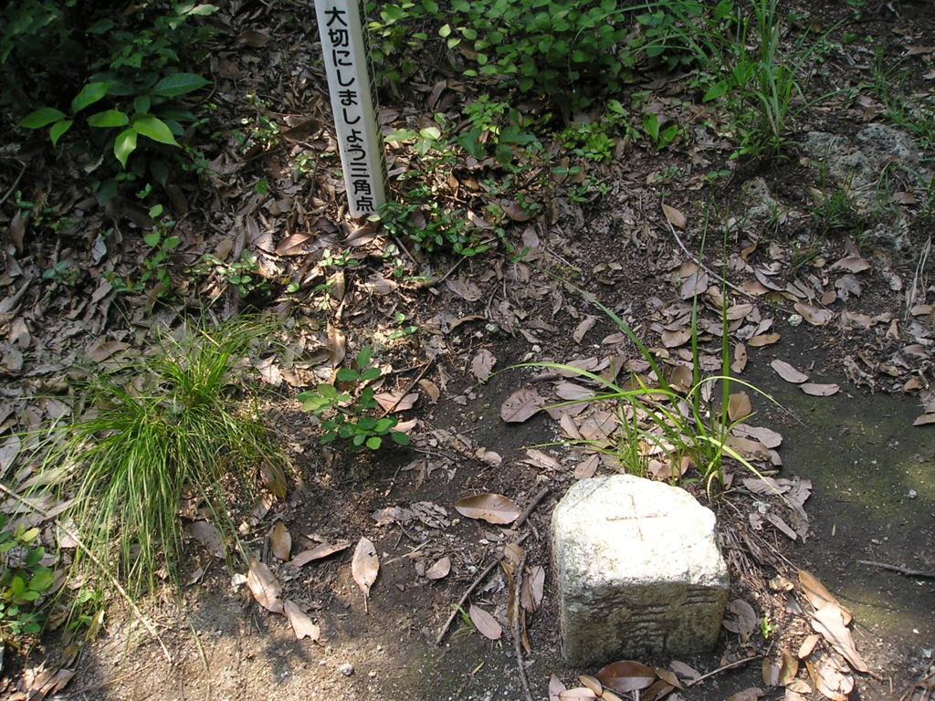 f:id:noramatsu:20161225214215j:plain