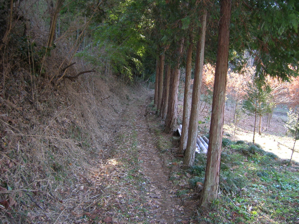 f:id:noramatsu:20170220232043j:plain