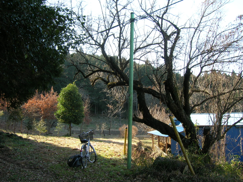 f:id:noramatsu:20170220232435j:plain