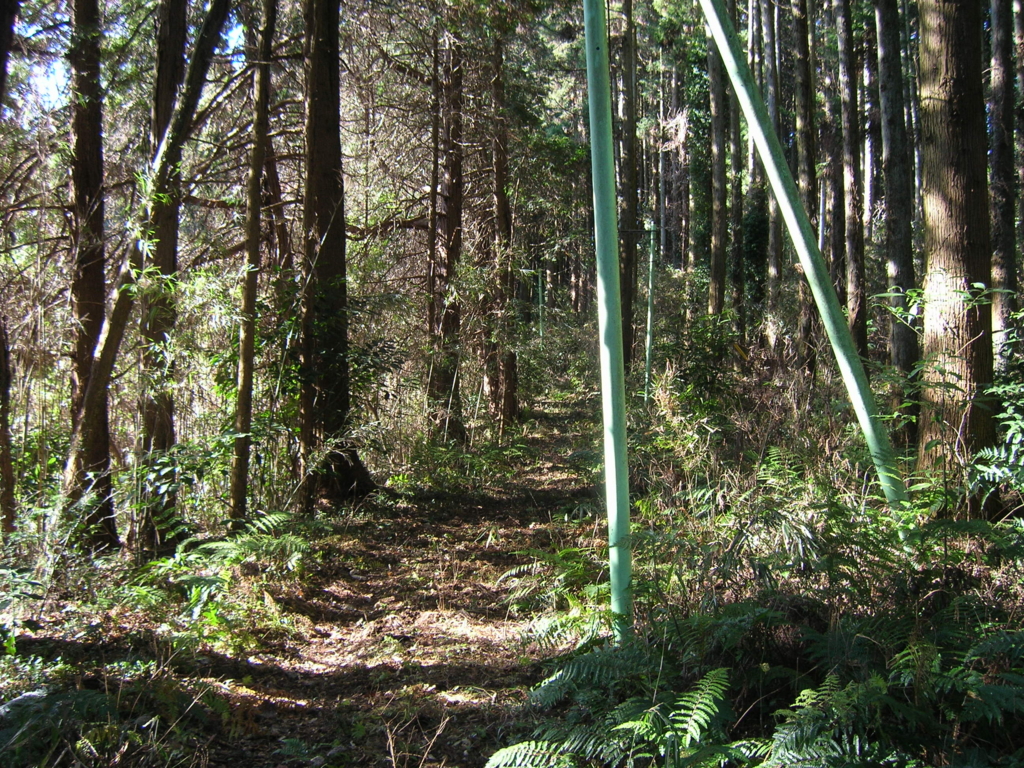 f:id:noramatsu:20170220232714j:plain