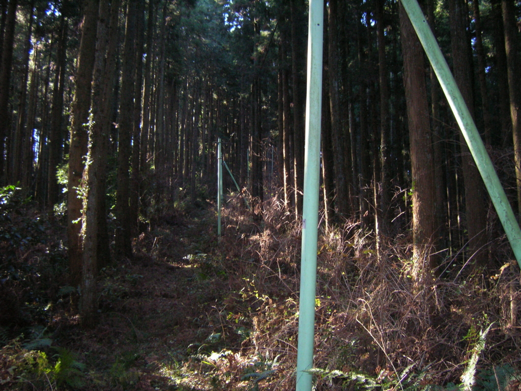 f:id:noramatsu:20170220233029j:plain