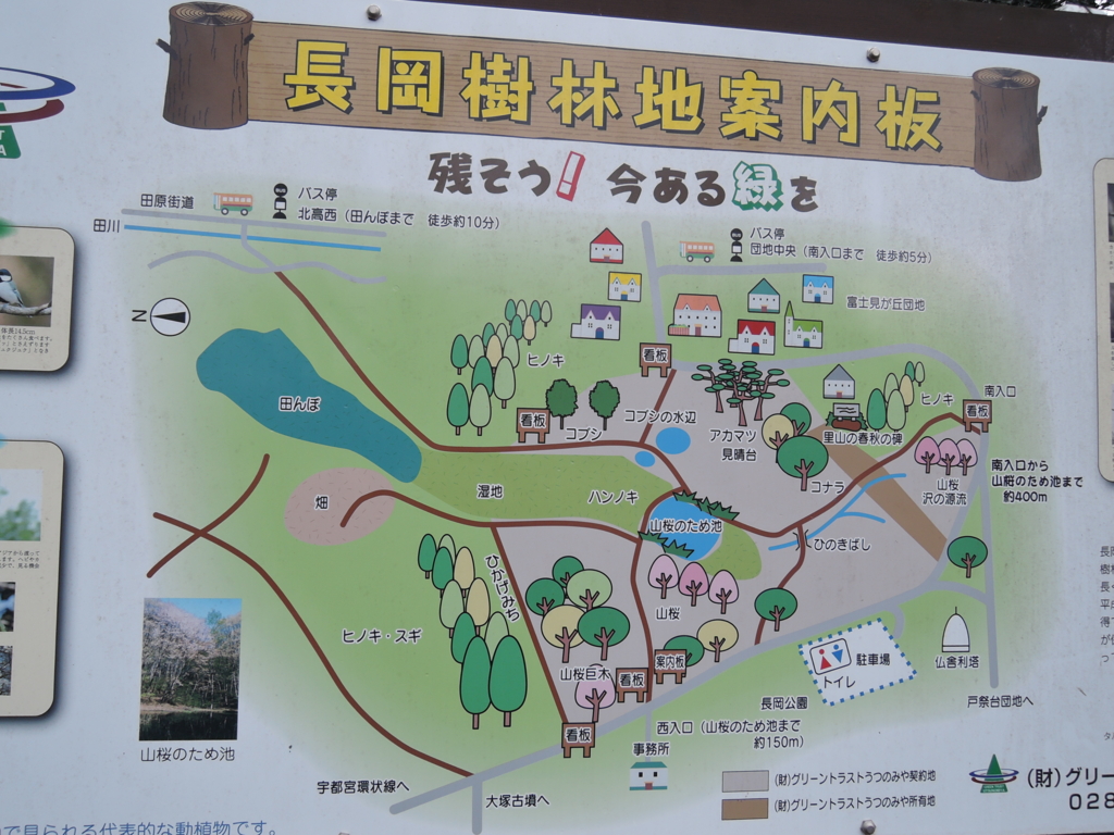 f:id:noramatsu:20170514230558j:plain f:id:noramatsu:20170514230558j:plain