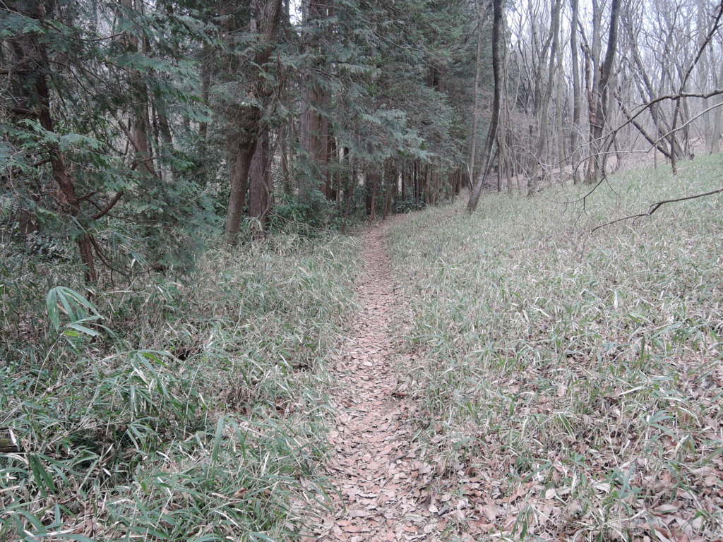 f:id:noramatsu:20170514235727j:plain f:id:noramatsu:20170514235727j:plain