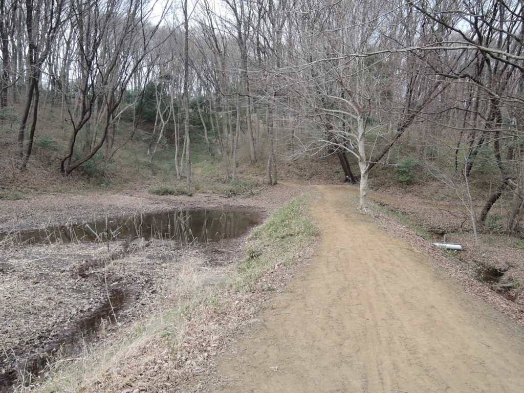 f:id:noramatsu:20170514235844j:plain f:id:noramatsu:20170514235844j:plain