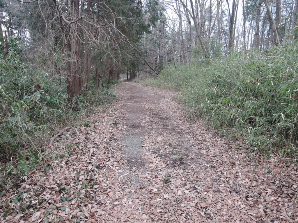 f:id:noramatsu:20170515002143j:plain f:id:noramatsu:20170515002143j:plain