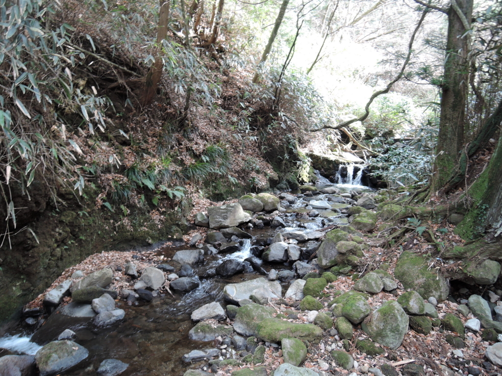 f:id:noramatsu:20180607234004j:plain f:id:noramatsu:20180607234004j:plain