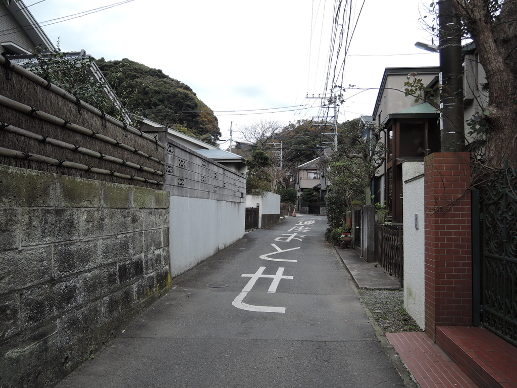 f:id:noramatsu:20190131183047j:plain f:id:noramatsu:20190131183047j:plain