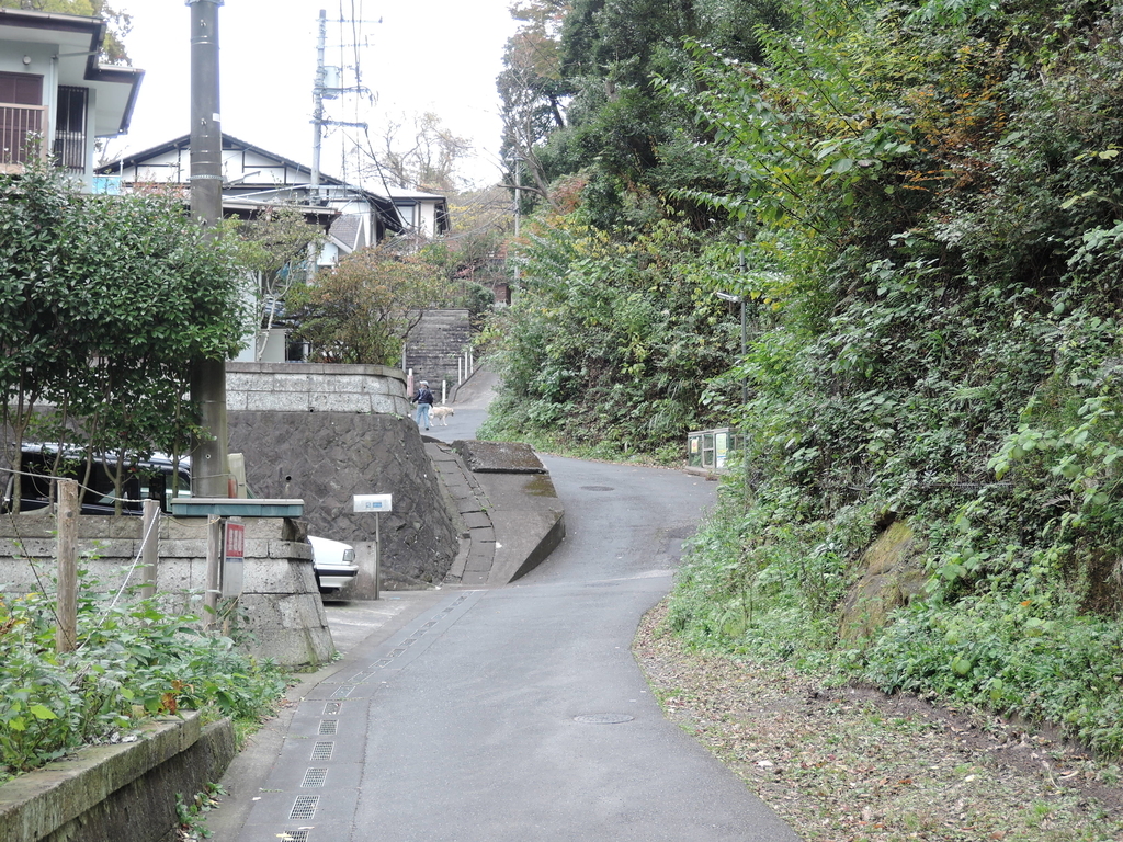 f:id:noramatsu:20190131183426j:plain f:id:noramatsu:20190131183426j:plain