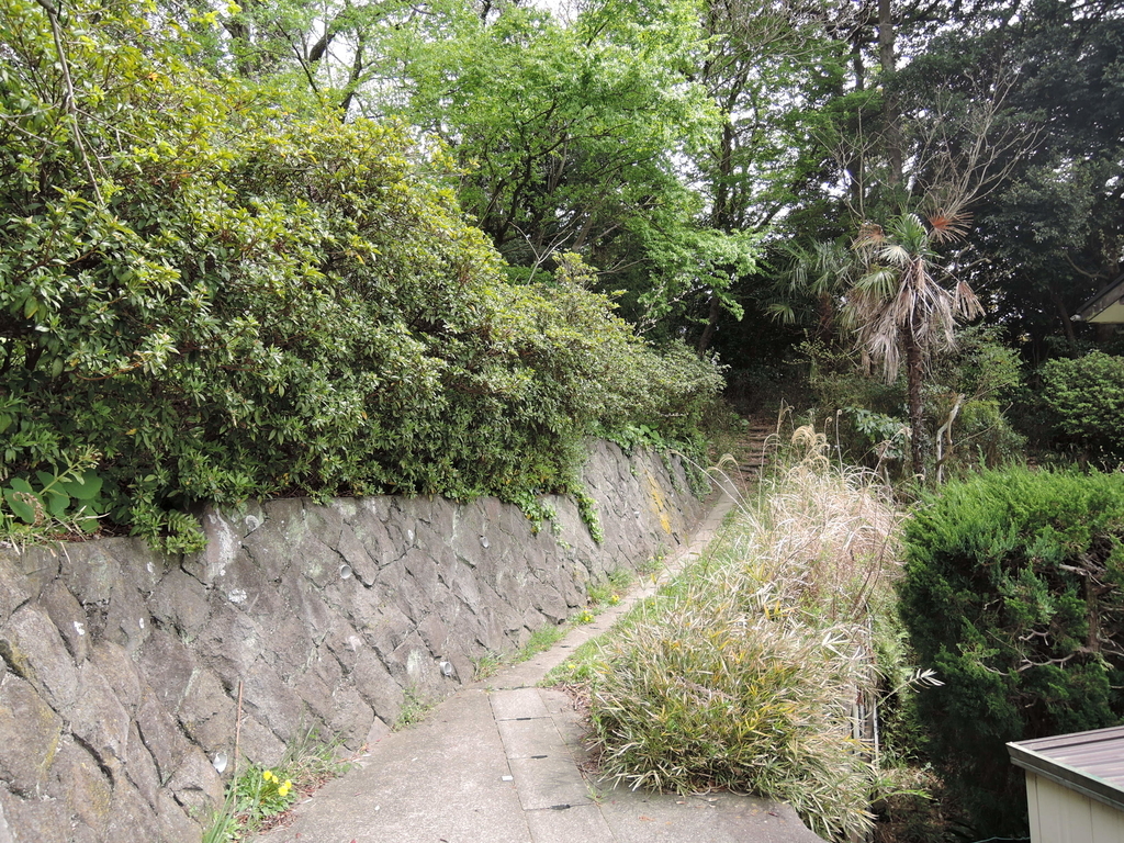 f:id:noramatsu:20190131191552j:plain f:id:noramatsu:20190131191552j:plain
