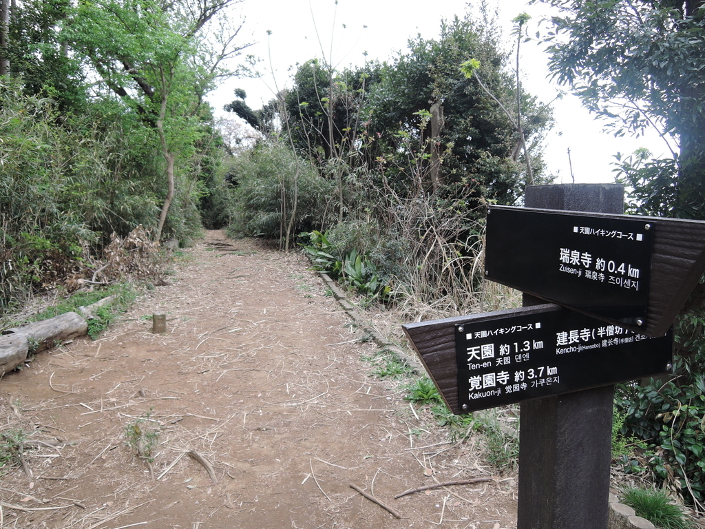 f:id:noramatsu:20190131212133j:plain f:id:noramatsu:20190131212133j:plain