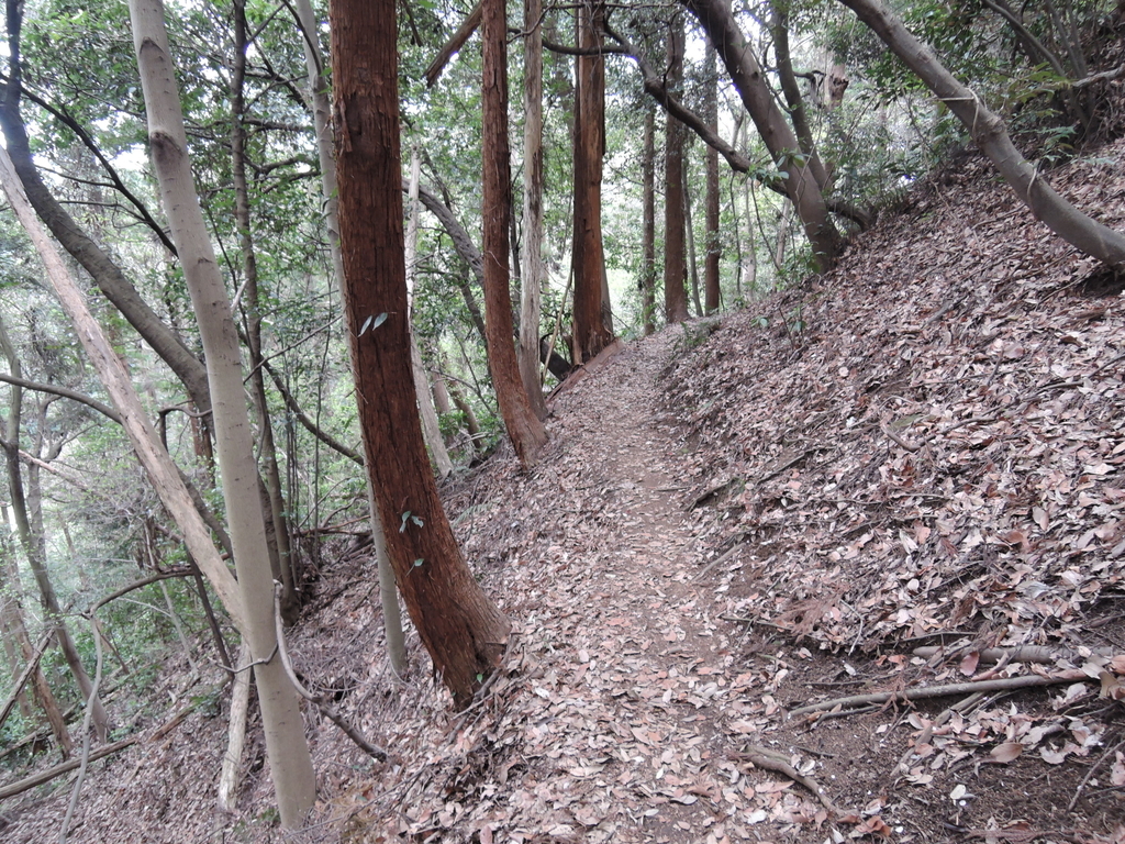 f:id:noramatsu:20190131212838j:plain f:id:noramatsu:20190131212838j:plain