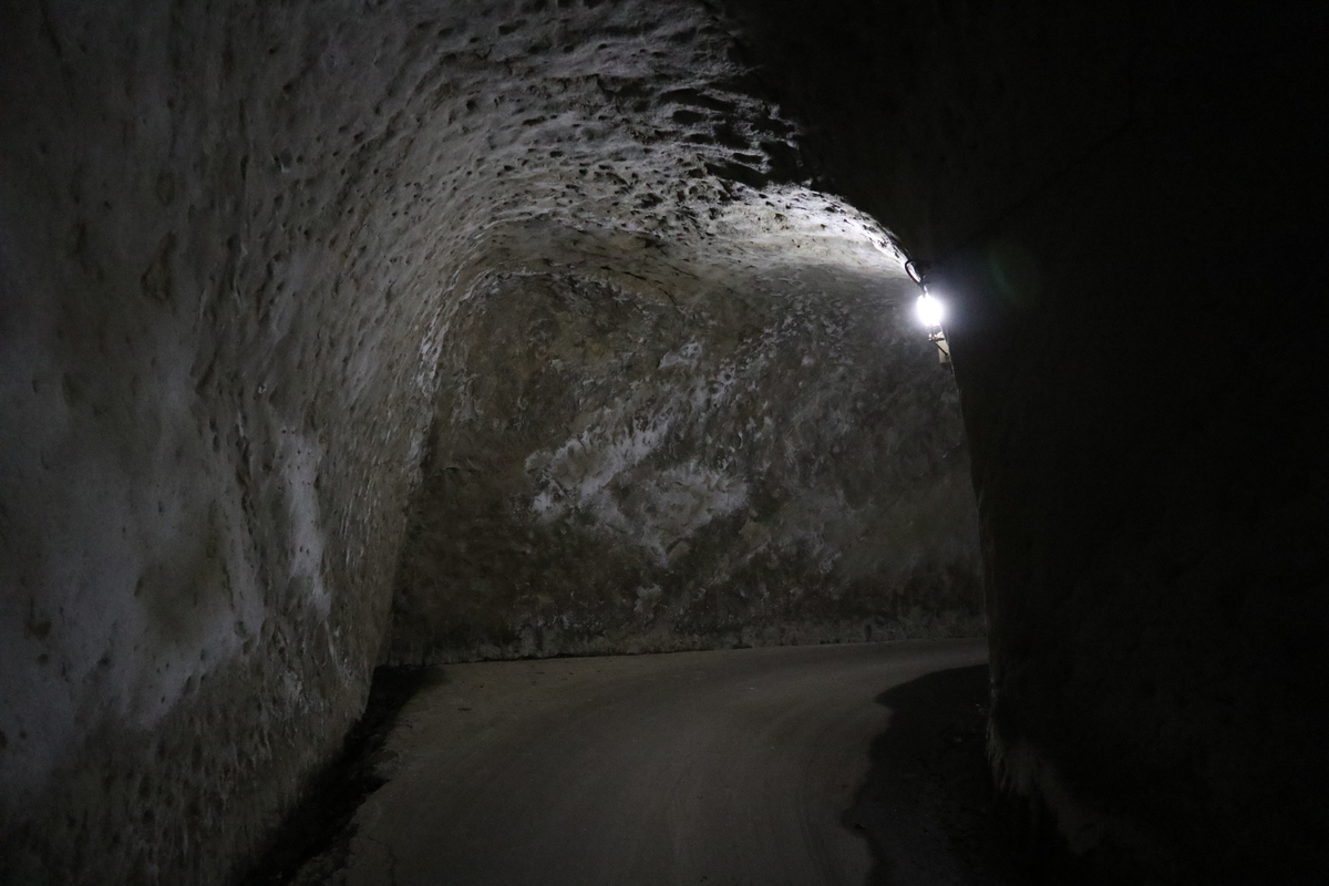 f:id:noramatsu:20190506220536j:plain f:id:noramatsu:20190506220536j:plain